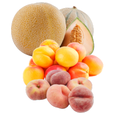 Abrikozen, platte perziken
schaal à 500 gram,
galia of cantaloupe meloen